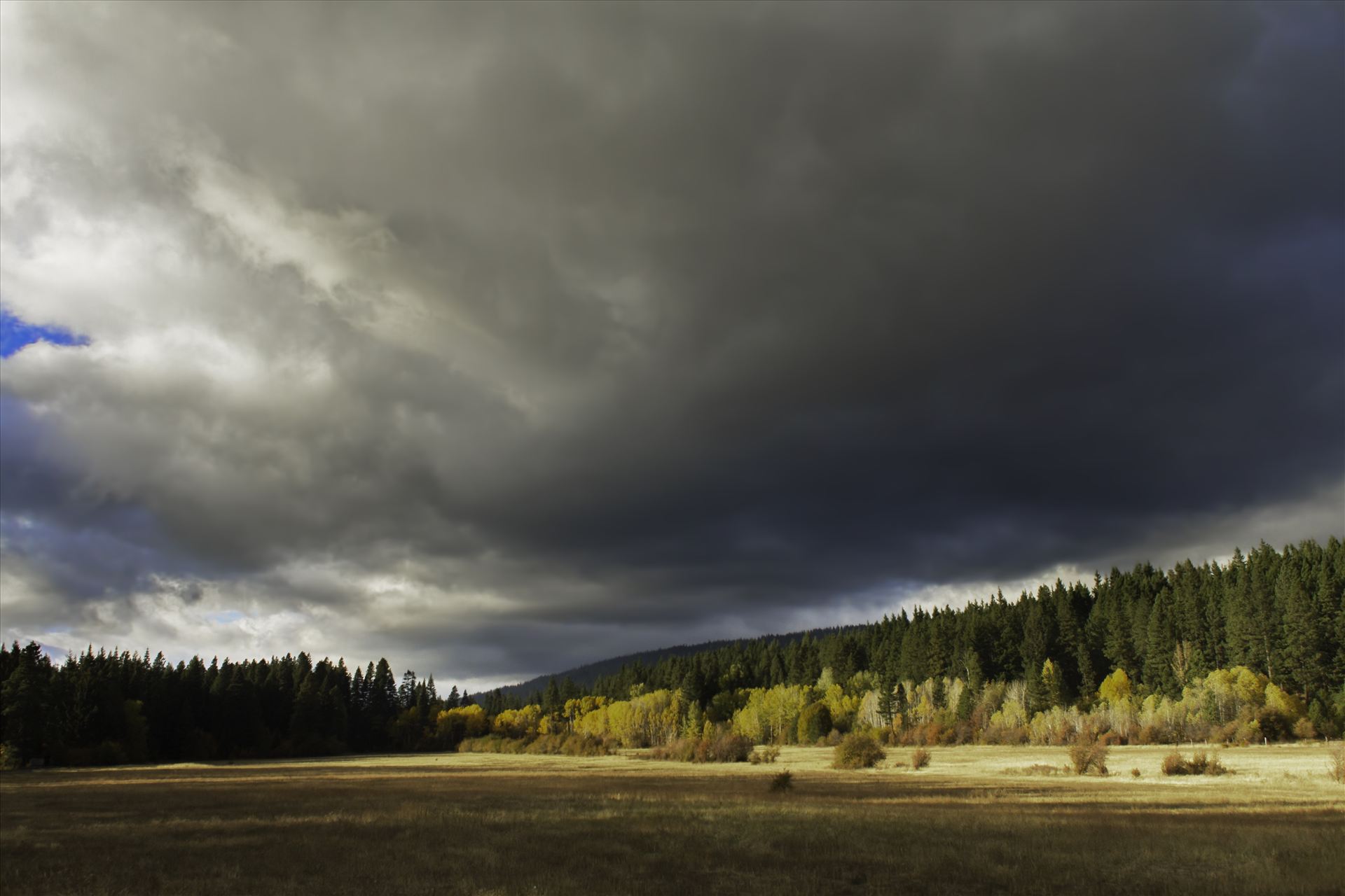 Meadow at Sunset - As the sun was setting, it finally broke out of the clouds to light up the fall colors. by Bear Conceptions Photography