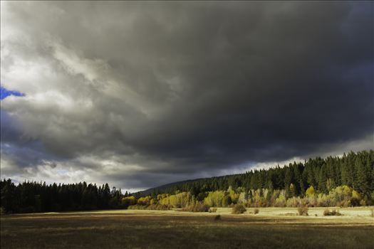 Meadow at Sunset - As the sun was setting, it finally broke out of the clouds to light up the fall colors.