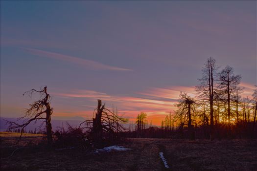 Sunset on the Mountain - Sunset taken from the top of Table Mountain.  If you look close between the trees you can see Mt. Rainier.